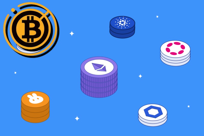 Die Zukunft ist hier – ItsDailyCrypto.com Shiba Inu ist das erste börsennotierte Unternehmen in den USA,