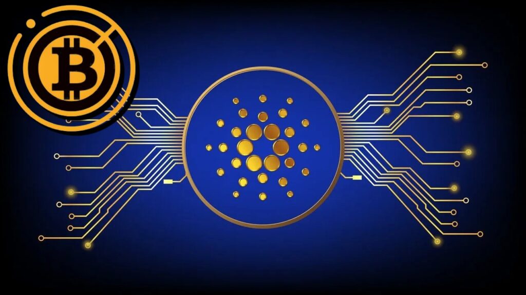 Cardano erreicht ein 2-Jahres-Hoch von 0,97 $; Analysten sind hinsichtlich des 1-Dollar-Ziels für das Wochenende optimistisch SHIB und Cardano: Bahnbrechende Veränderungen