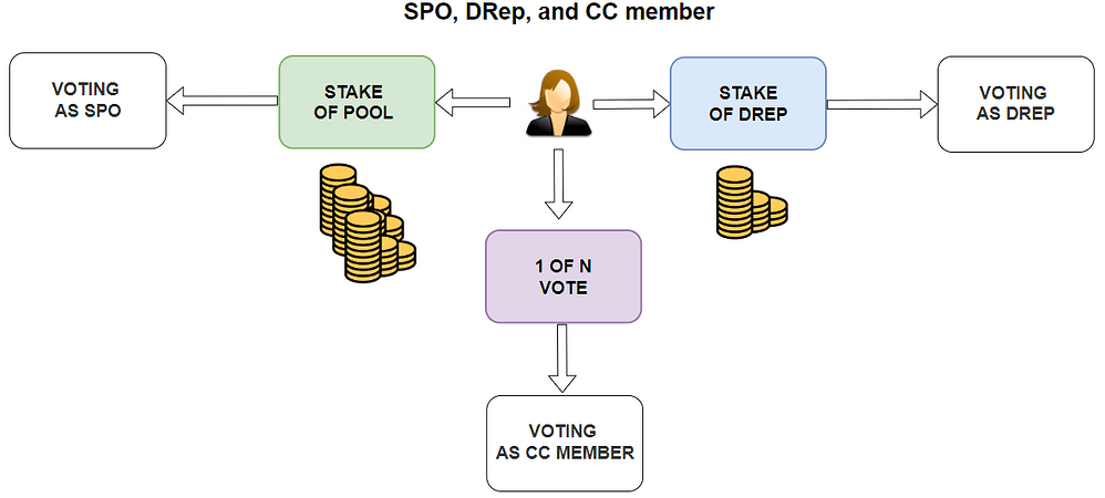 Cardanos Governance-Struktur