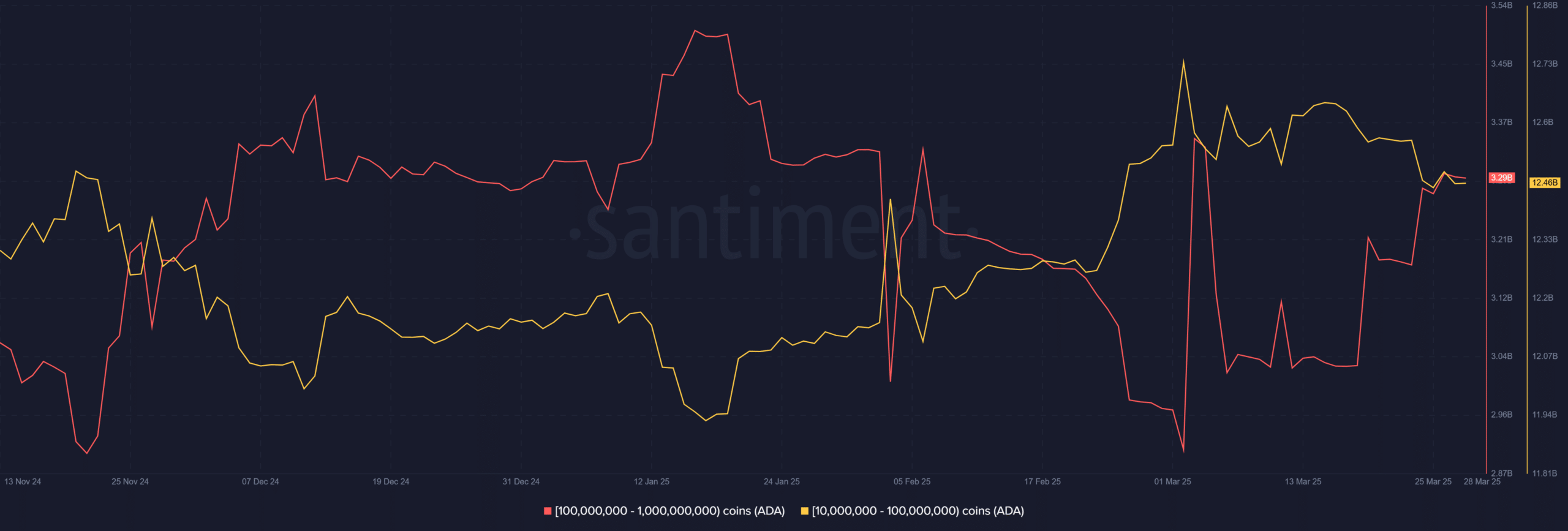 Cardano ist da